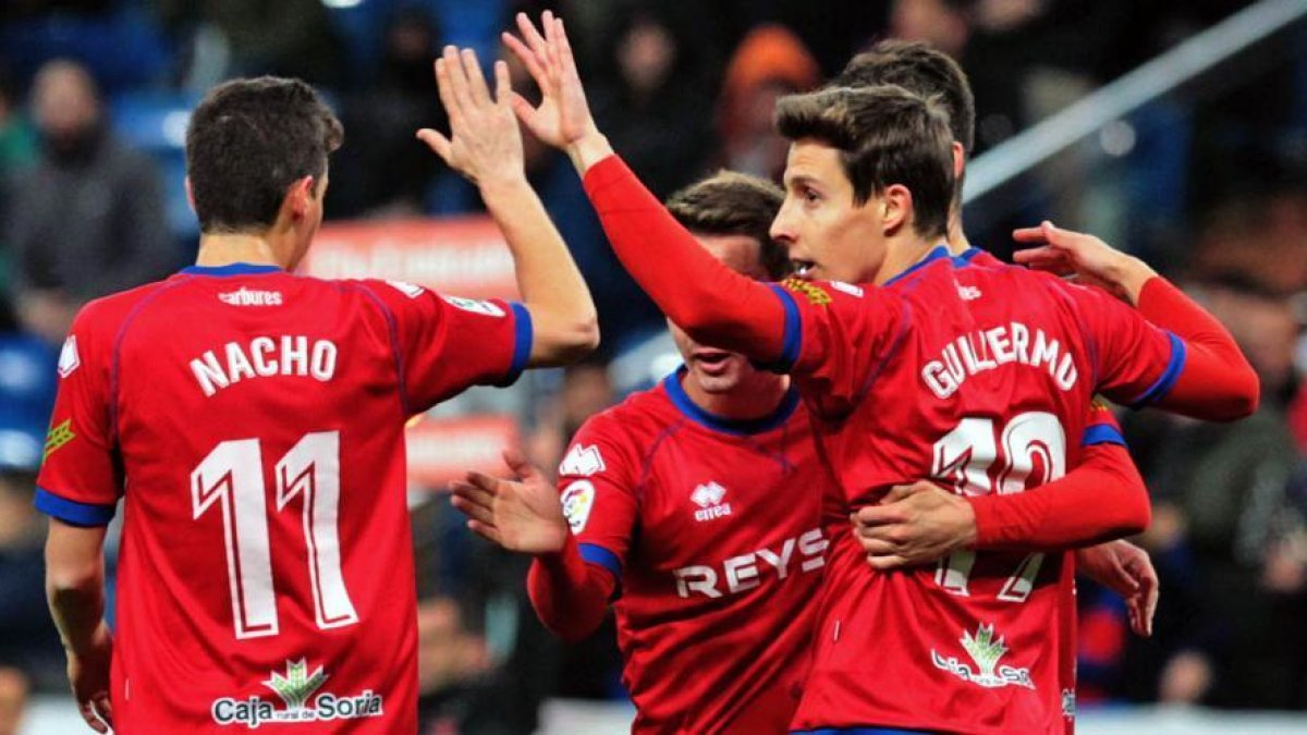 Los jugadores del Numancia celebran uno de los goles rojillos.-ÁREA 11
