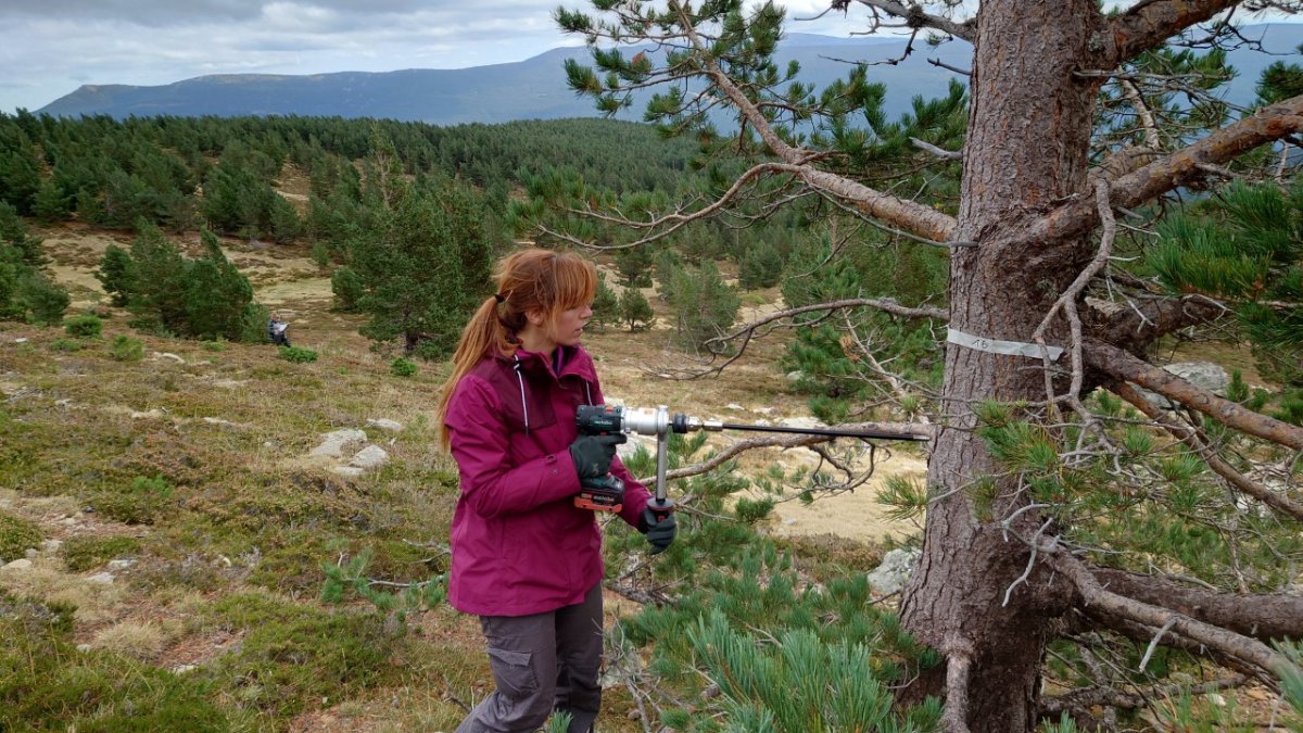 Una investigadora del proyecto Monostar tomando muestras en la Laguna Negra. HDS