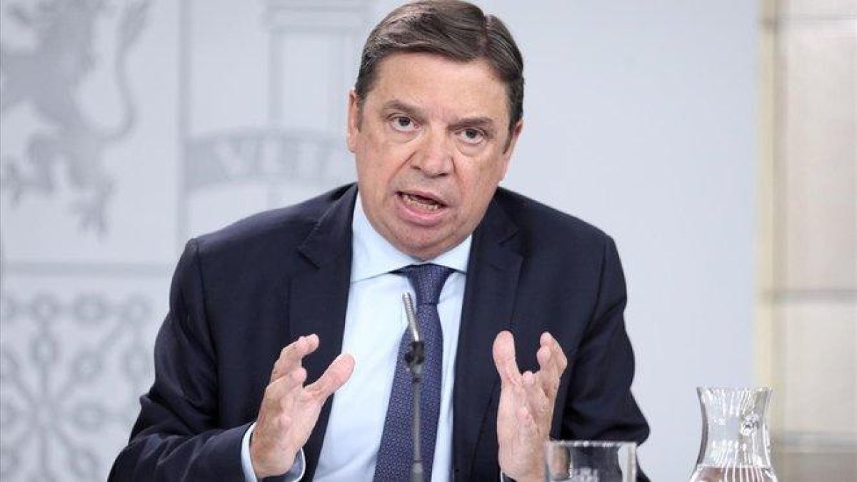 Luis Planas, ministro de Agricultura.-