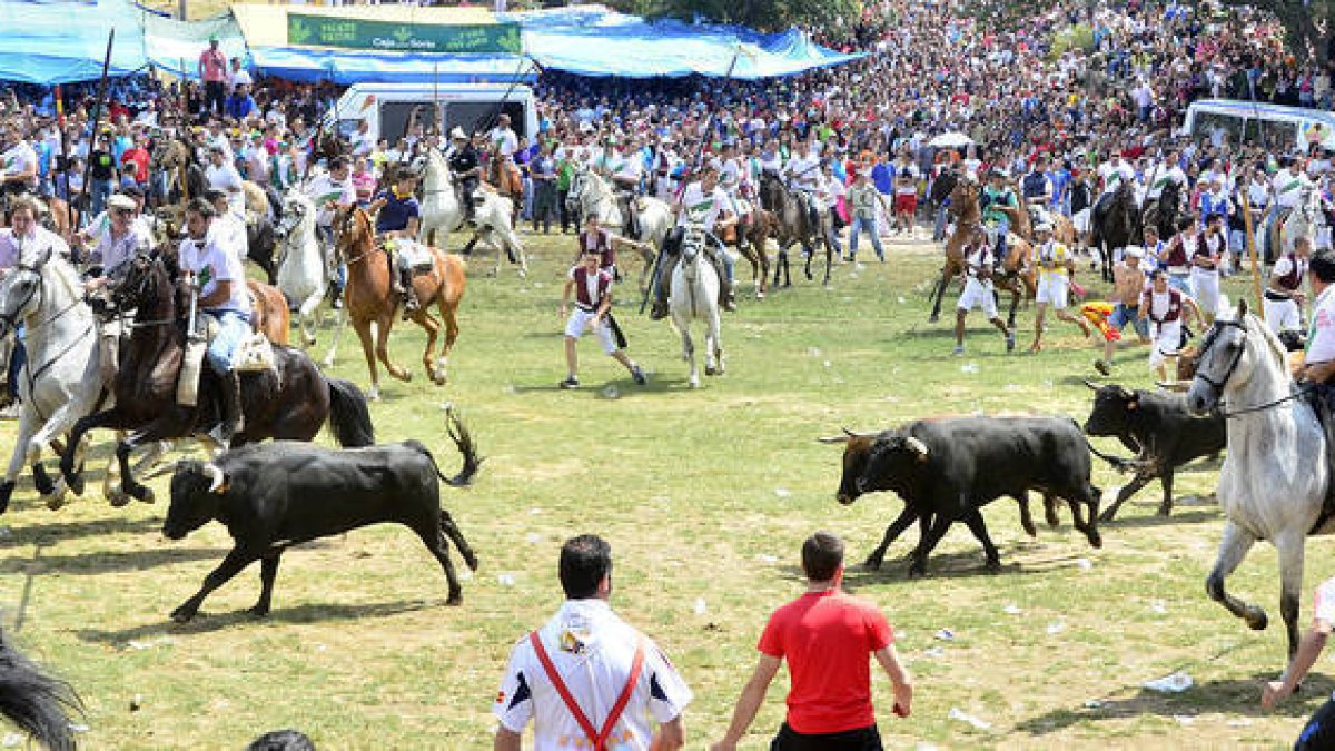 Festejo de La Saca de 2014, en una imagen de las fiestas de este año. / ÁLVARO MARTÍNEZ-
