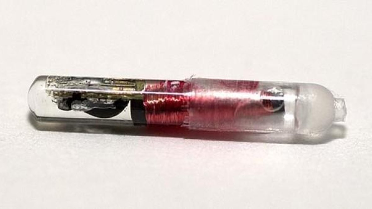 Un chip implantable bajo la piel.-