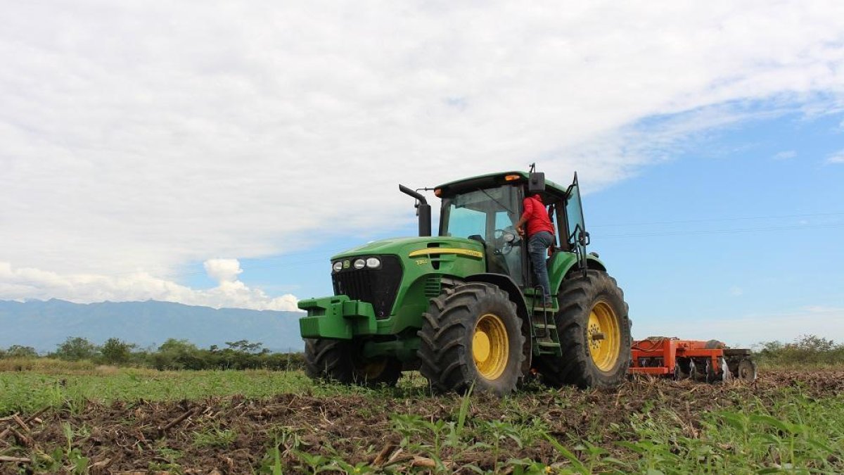 En la actualidad, existe maquinaria especializada para realizar la siembra directa en superficies agrícolas.-- IGR