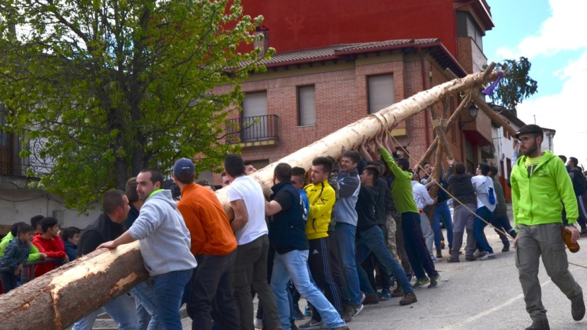 Hasta seis localidades de Pinares de Soria 'pingan' sus mayos este fin de semana.HDS