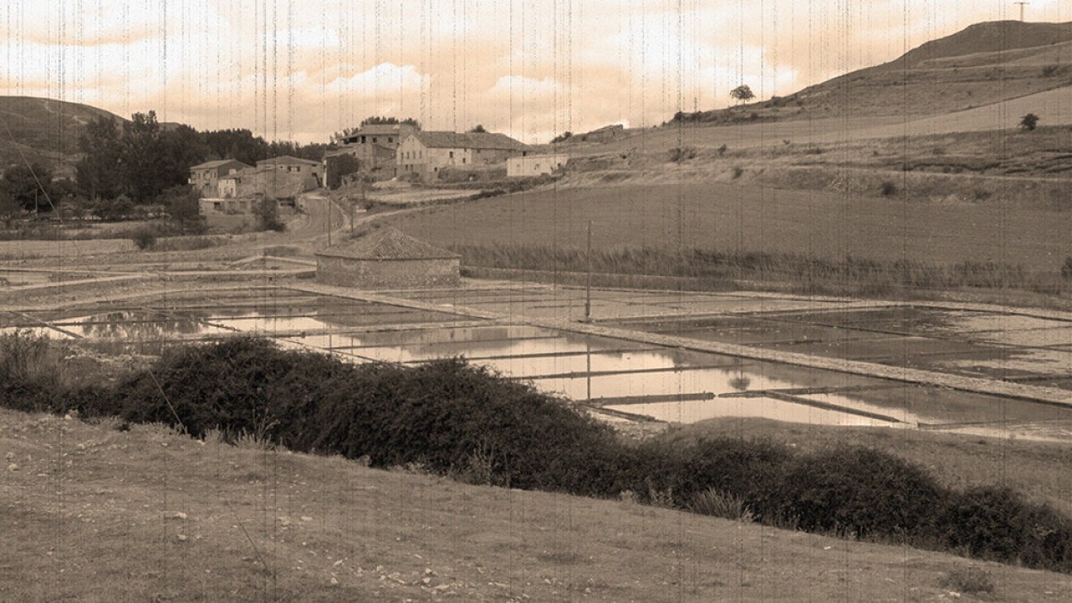 Salinas de Medinaceli.-HDS