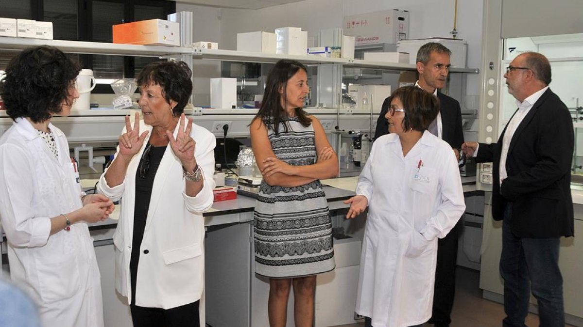 Martín, Esteban, Navas y Latorre charlan con las investigadoras en una zona de trabajo.-VALENTÍN GUISANDE