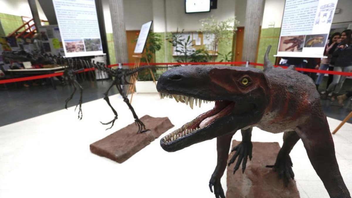 Exposición que presenta la reconstrucción de un ejemplar de Herrerasaurio Ischiqualastensis y de una réplica de su esqueleto.-ICAL