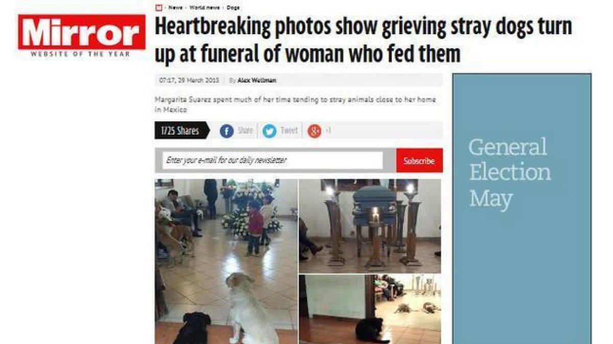 Numerosos perros callejeros despiden a Margarita Suárez en su funeral-Foto: MIRROR