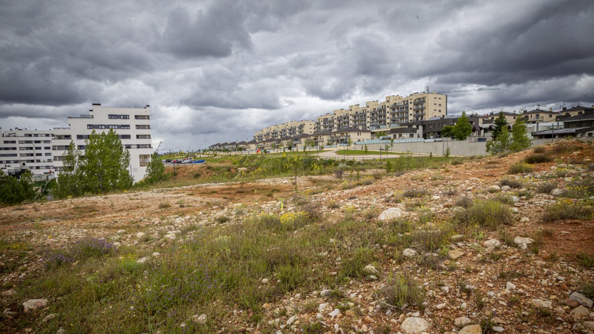 Terreno cedido por el Ayuntamiento para el Centro en la zona de expansión. MARIO TEJEDOR