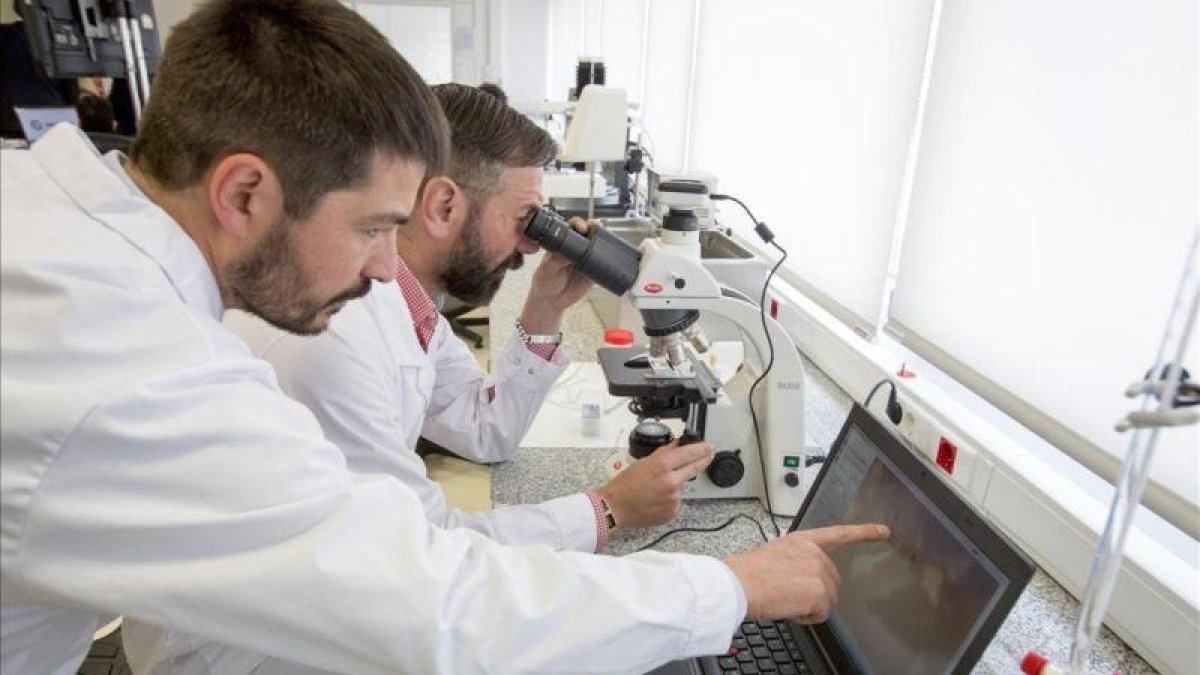 Laboratorio de I+D de alimentación de Indukern en El Prat de Llobregat.-FERRAN NADEU