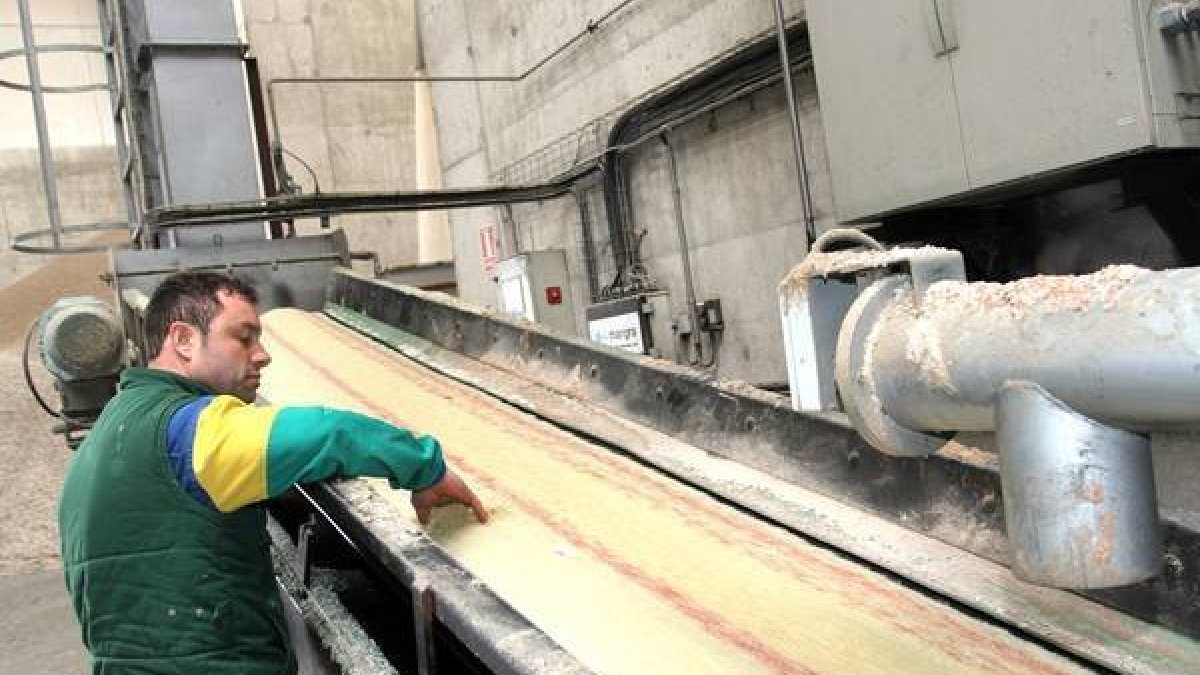 Instalaciones de la planta de abonos de la empresa Agropal en Amusco (Palencia).-Brágimo / ICAL