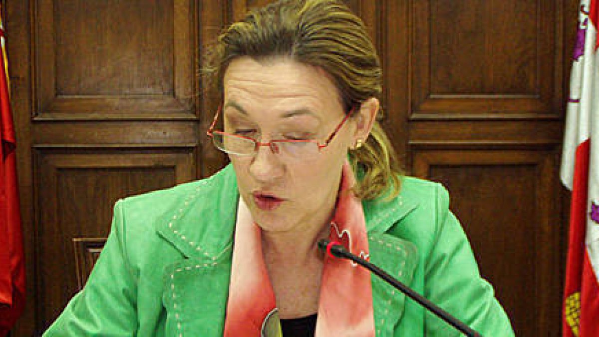 La subdelegada del Gobierno, María José Heredia. / ÁLVARO MARTÍNEZ-