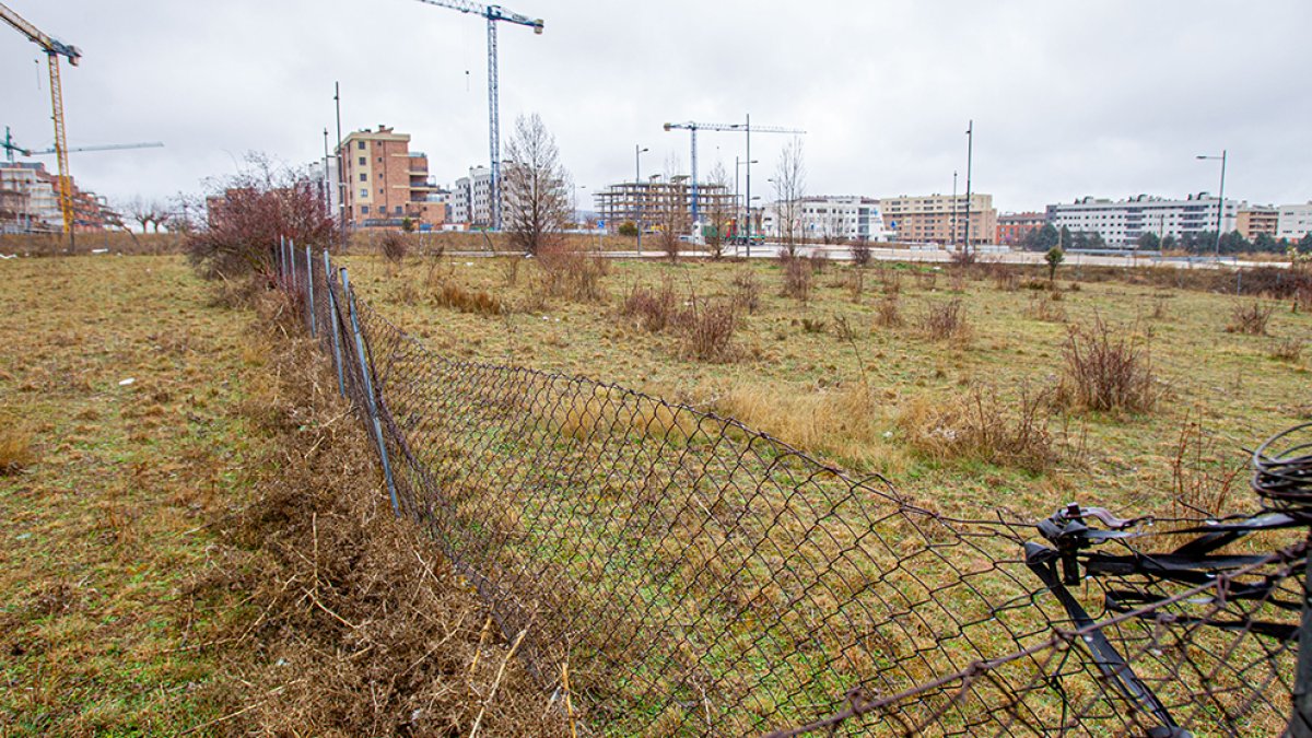 Terrenos en el sector de Los Royales Norte - MARIO TEJEDOR