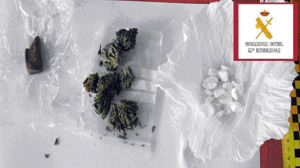 De izquierda a derecha, hachís, marihuana y cocaína incautadas en la operación.-SUBDELEGACIÓN