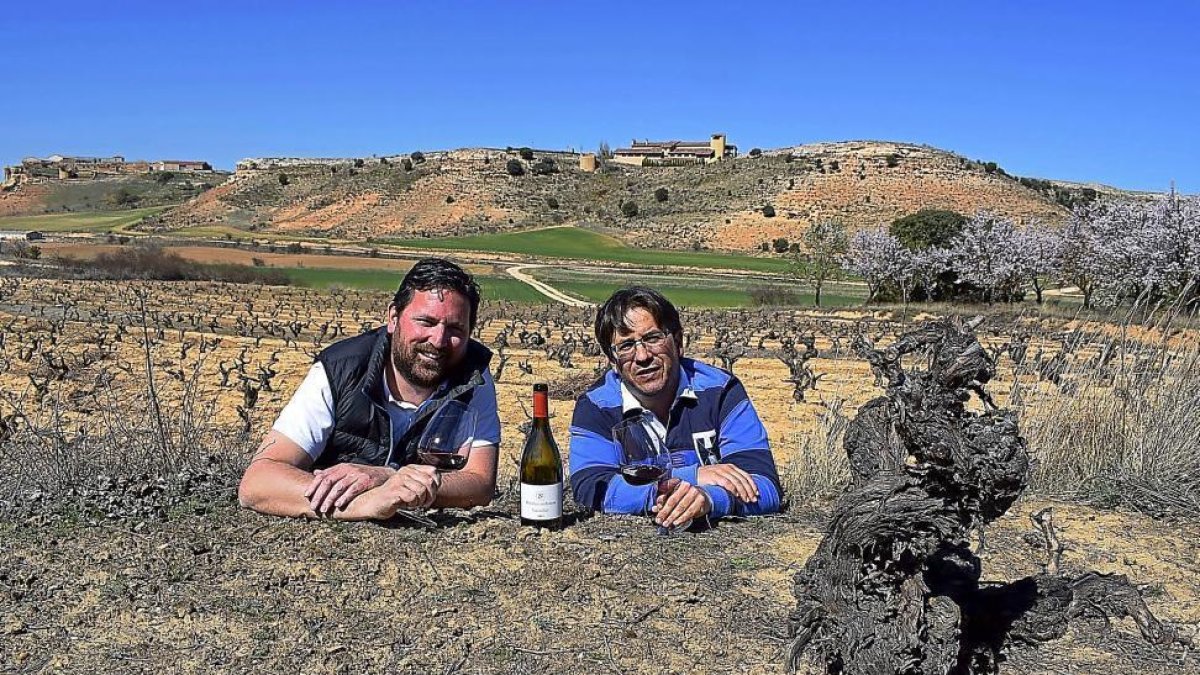 De izquierda a derecha, Jaime e Ismael, junto a la cepa centenaria y, de fondo, la bodega Dominio de Atauta, situada en una ladera, entre los dos célebres palomares-Agricomunicación