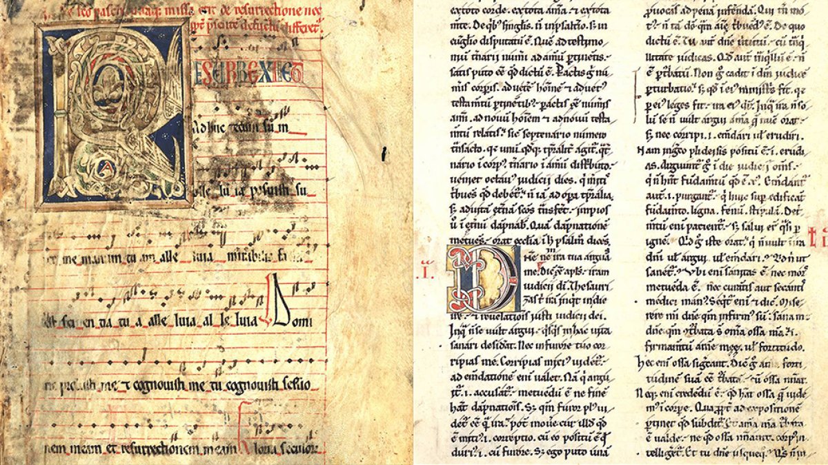 Extractos de fondos de la provincia incorporados a esta biblioteca virtual.-MARIO TEJEDOR