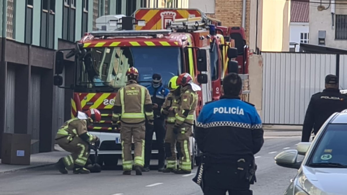 Rescate del buitre leonado en la zona de los Pisos Verdes de Soria. HDS