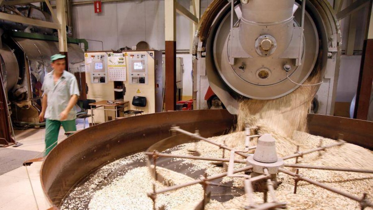 Proceso de tueste de pipas en la factoria de Facundo en la localidad palentina de Villada-Eduardo Margareto / ICAL
