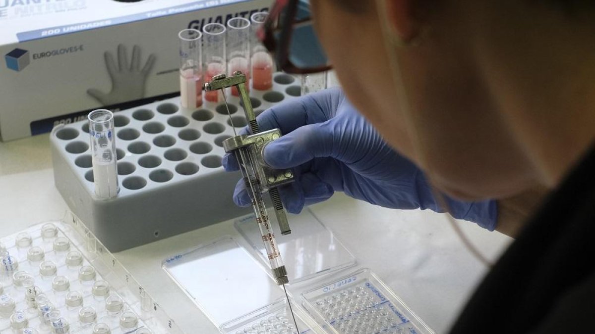 Nuevos dardos contra el linfoma de Hodgkin-- ENRIQUE CARRASCAL