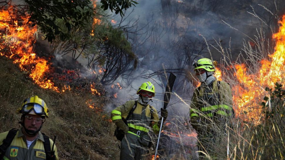 Miembros de un operativo durante un incendio en Castilla y León.-ICAL