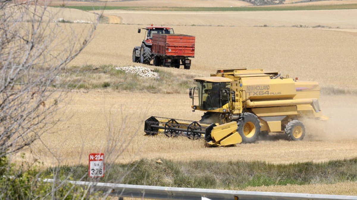 Una cosechadora realiza las labores en recogida del cereal. / VALENTÍN GUISANDE-