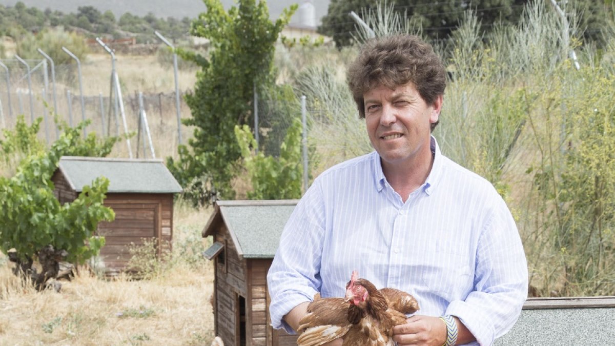 César Redondo dirige junto a sus hermanos José Ignacio y Antonio esta explotación avícola que creó su padre en 1956 en las faldas de Gredos. / L.P.