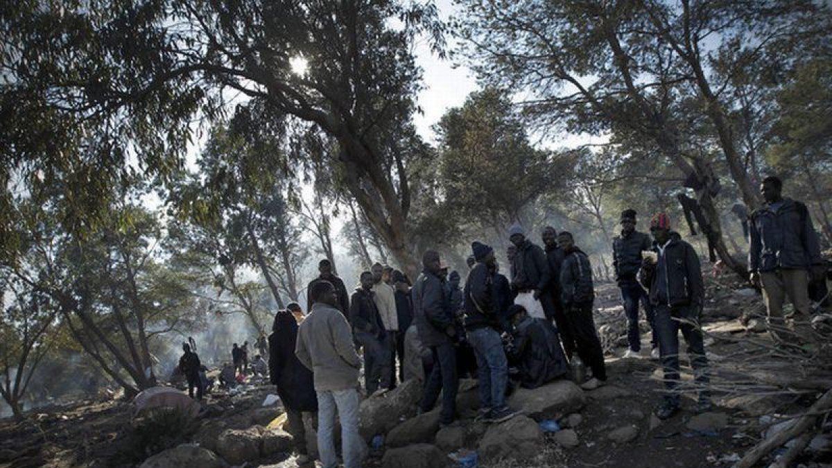 Inmigrantes en el monte Gurugú que pretenden pasar ilegalmente la frontera de Melilla.-JOSE LUIS ROCA