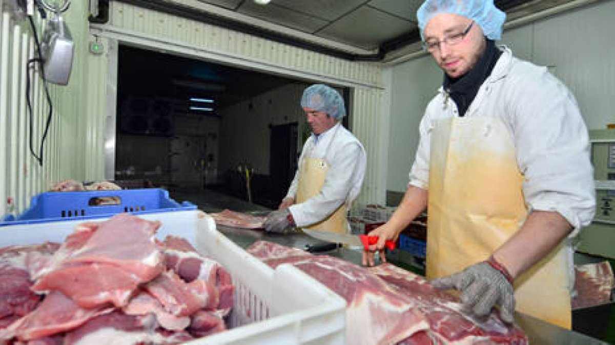 Trabajadores de una empresa preparando pancetas. / A. M-