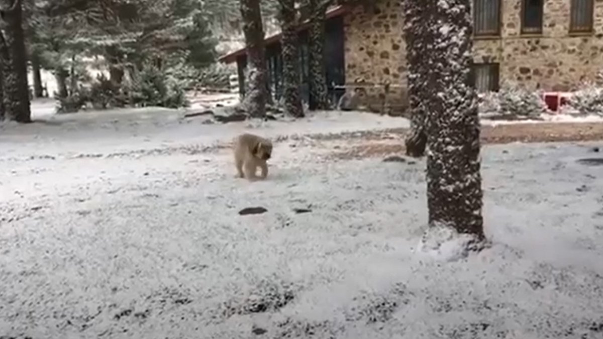 El Punto de Nieve de Santa Inés ya hace honor a su nombre. La primera nevada del otoño deja un leve manto blanco y ya invita a pensar en trineos, rutas... o en uno de sus reconfortantes platos.