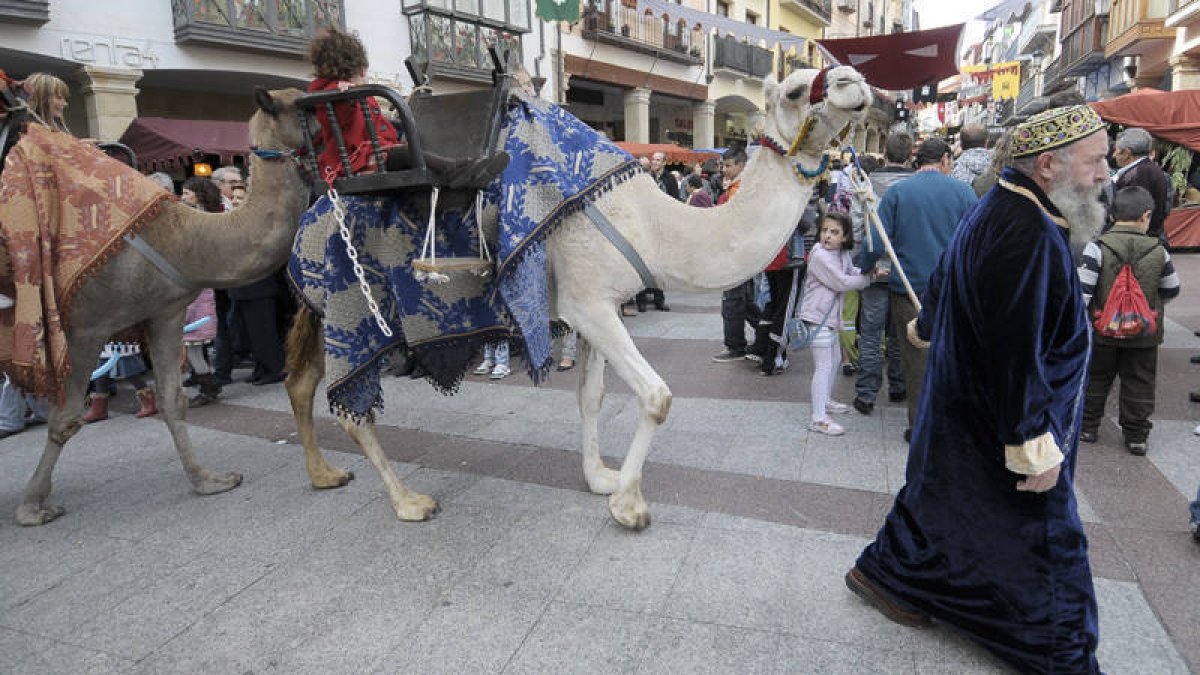 Dromedarios ayer de paseo por el mercado medieval.-