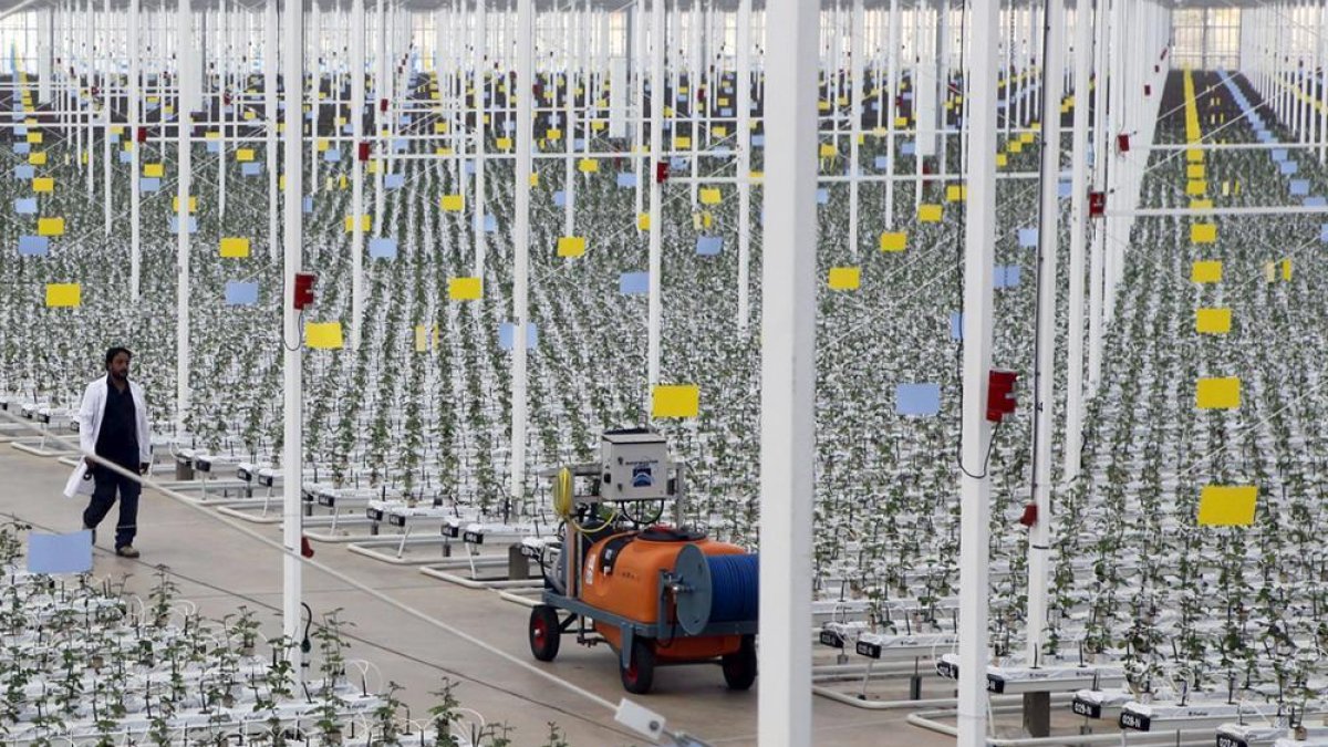 Instalaciones de Aleia Roses en el término de Garray.-MARIO TEJEDOR