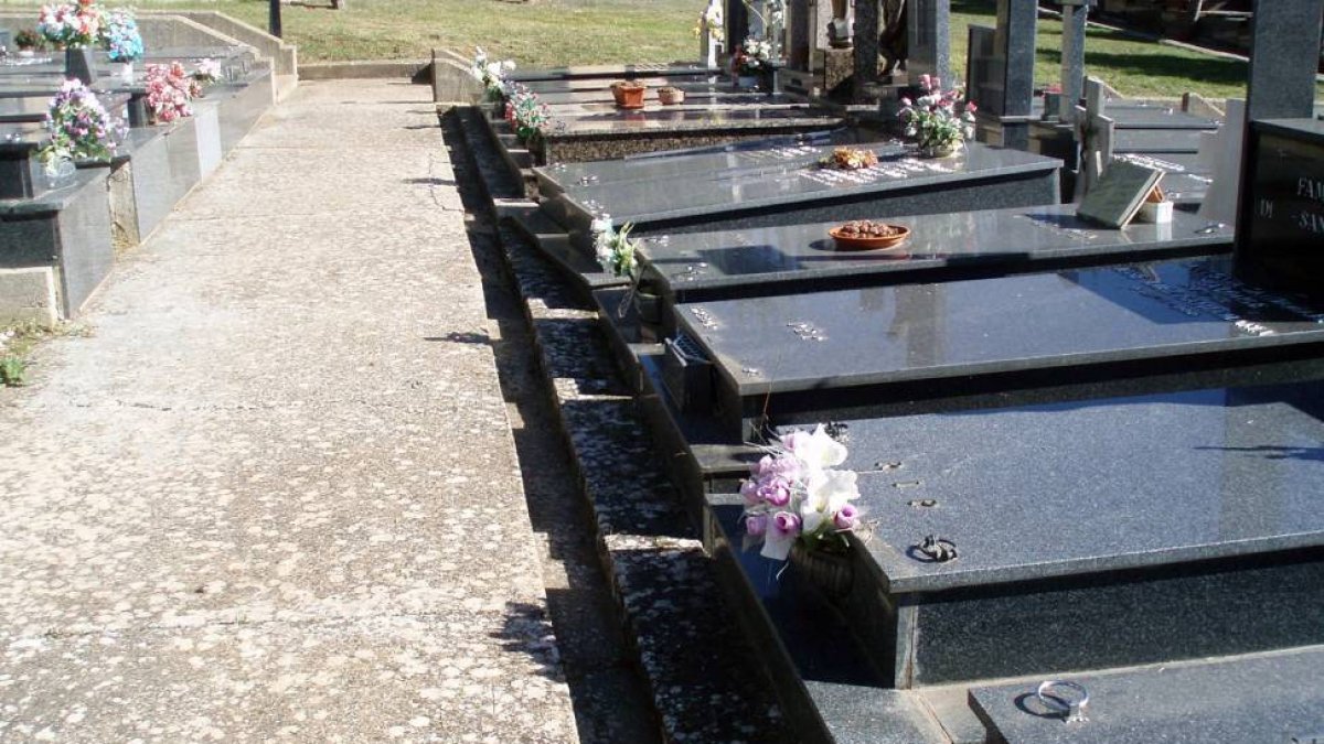 Estado del cementerio municipal, una vez concluido el plan de limpieza.-AYTO. SORIA
