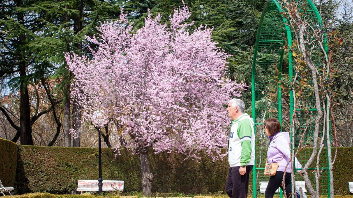 Primavera en Soria en una imagen de archivo. MARIO TEJEDOR