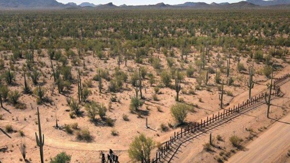 Desierto de Arizona.-