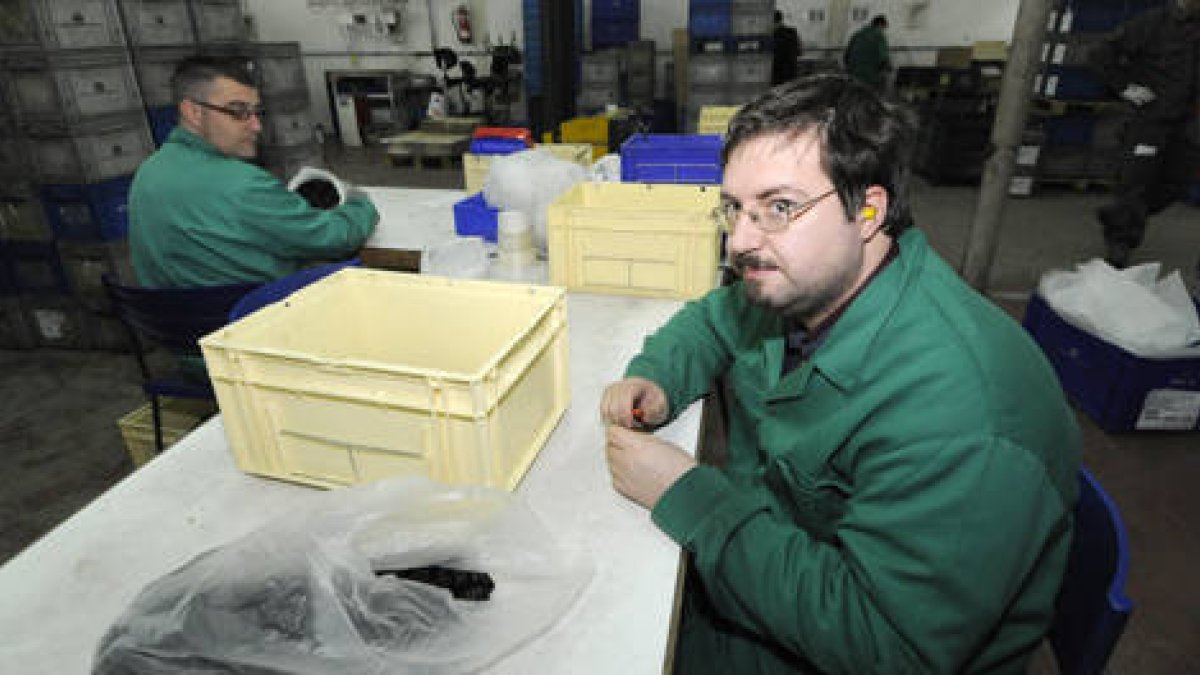 Discapacitados en un centro de empleo de Soria./ V.G.-