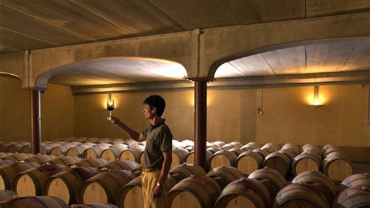 La bodega estrenó el siglo XXI pero nace de viñedo viejo y estilo tradicional. --HDS