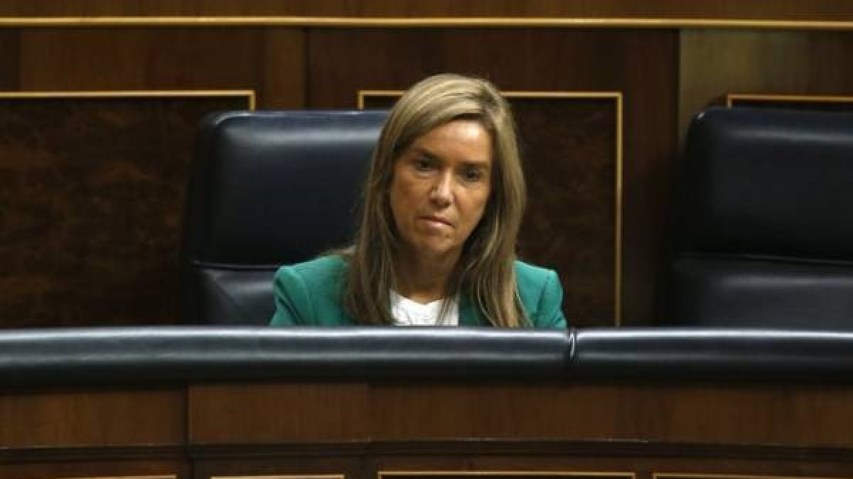 Ana Mato, en el Congreso, durante una sesión de control el pasado octubre.-Foto: REUTERS / ANDREA COMAS