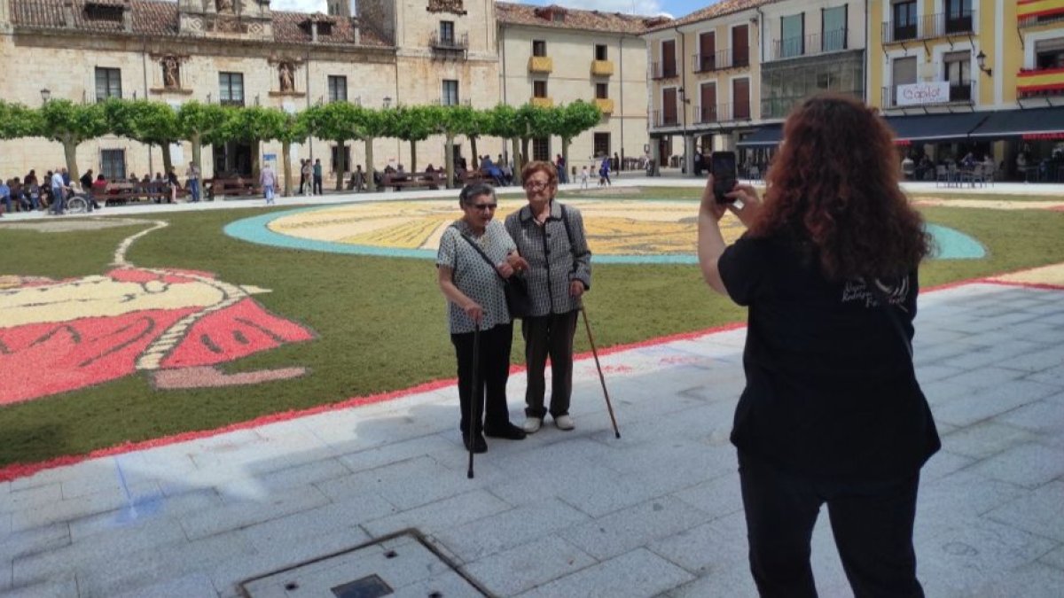 Alfombra floral en El Burgo de Osma.-ANA HERNANDO