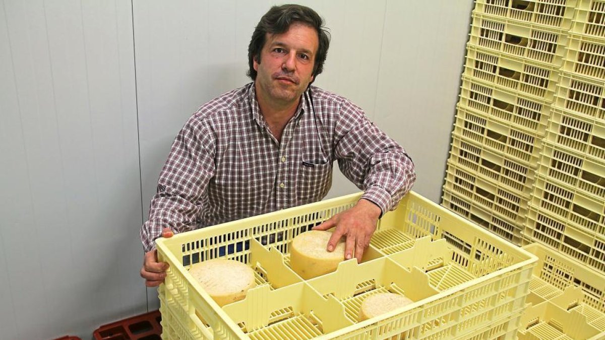 Javier Rivera Román muestra algunos de los quesos que reposan en la nave de oreado de la quesería artesana.-M.T.