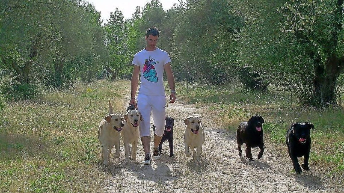 David Lago, impulsor junto a su mujer de un cementerio de animales de compañía, pasea con varios perros.-E.M.