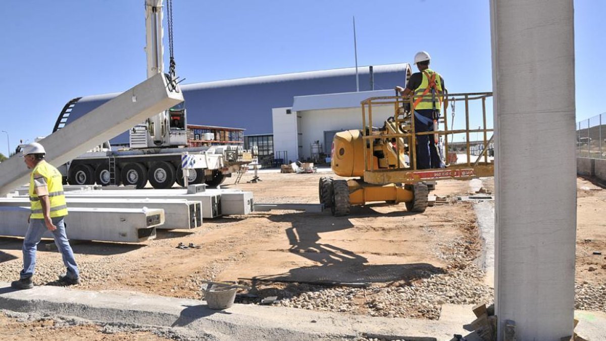 Obras en Resinas Naturales.-V.G.