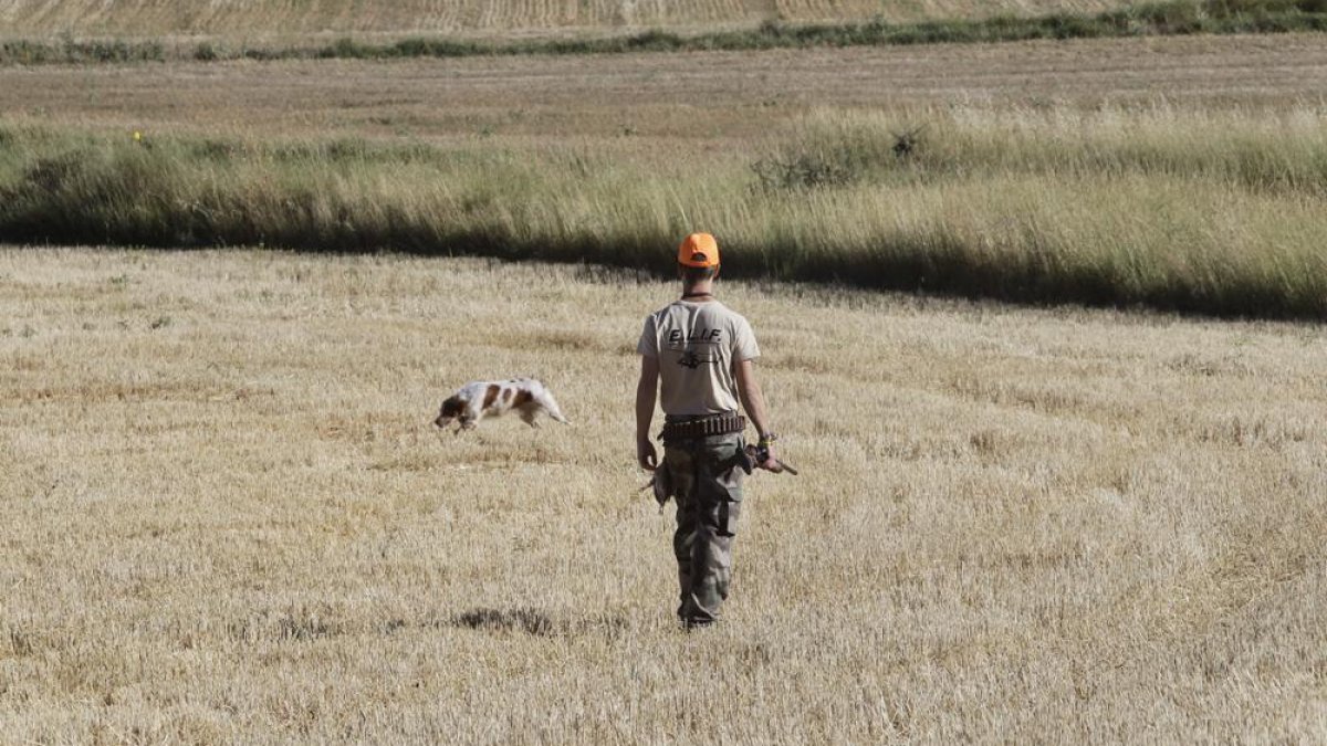 Un cazador durante una jornada de caza con motivo de la Media Veda.-HDS