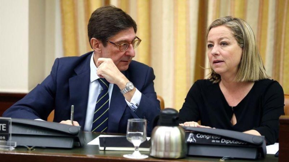 El presidente de Bankia, José Ignacio Goirigolzarri, el martes en la comisión de investigación.-DAVID CASTRO