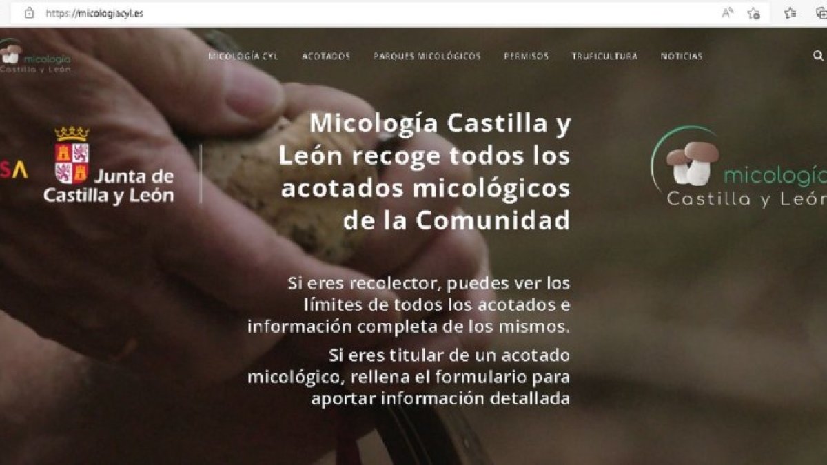 Portal de 'Micología Castilla y León'. HDS
