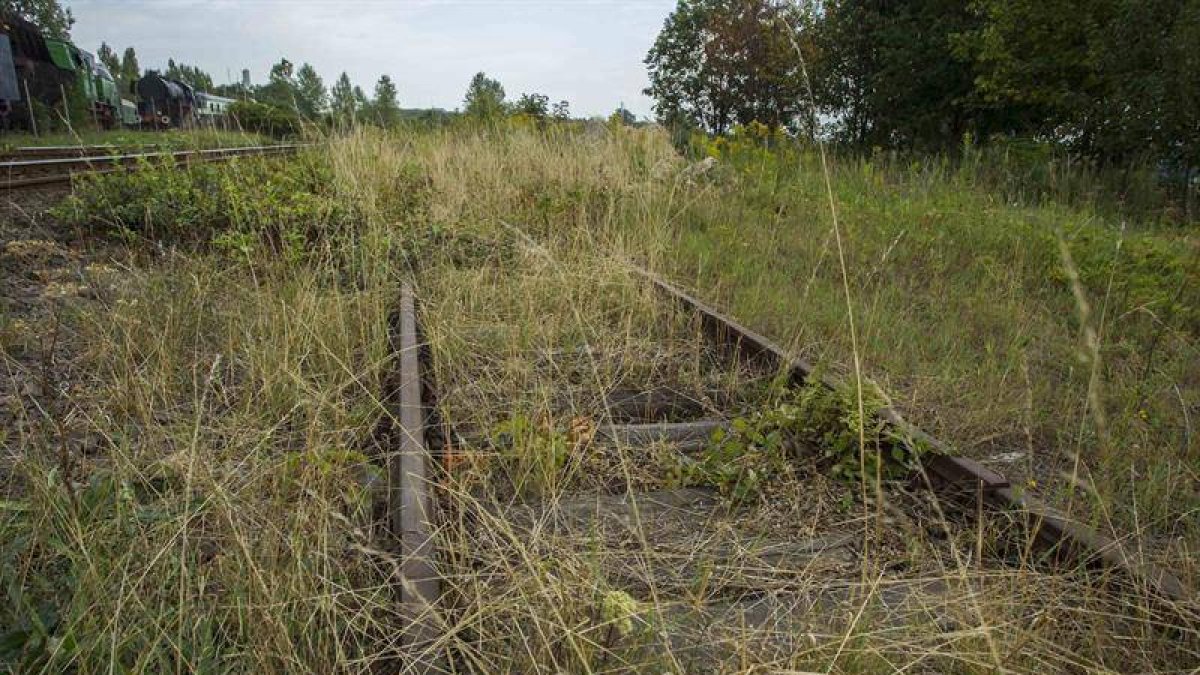 Antiguas vías de tren en un lugar entre Breslavia y Walbrzych en Polonia.-EFE