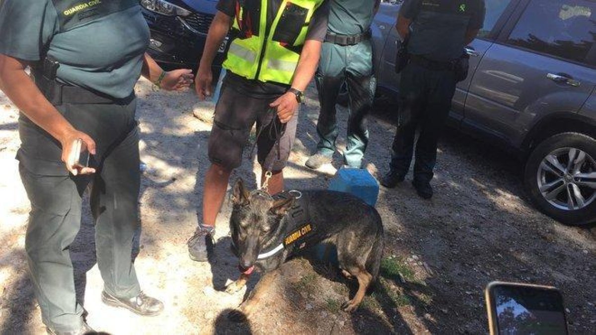 La perra Xena de la Guardia Civil que ha encontrado el cuerpo de Blanca Fernández Ochoa.-