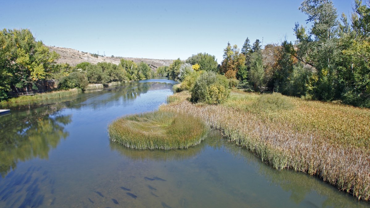 Cauce fluvial en la ribera del Duero.-HDS
