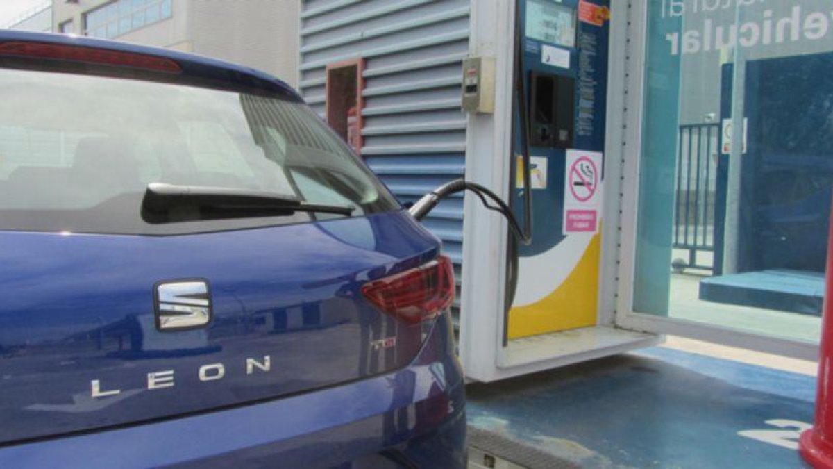 Seat contabiliza el mejor primer semestre de su historia con 212 millones de euros.-MOTORZETA