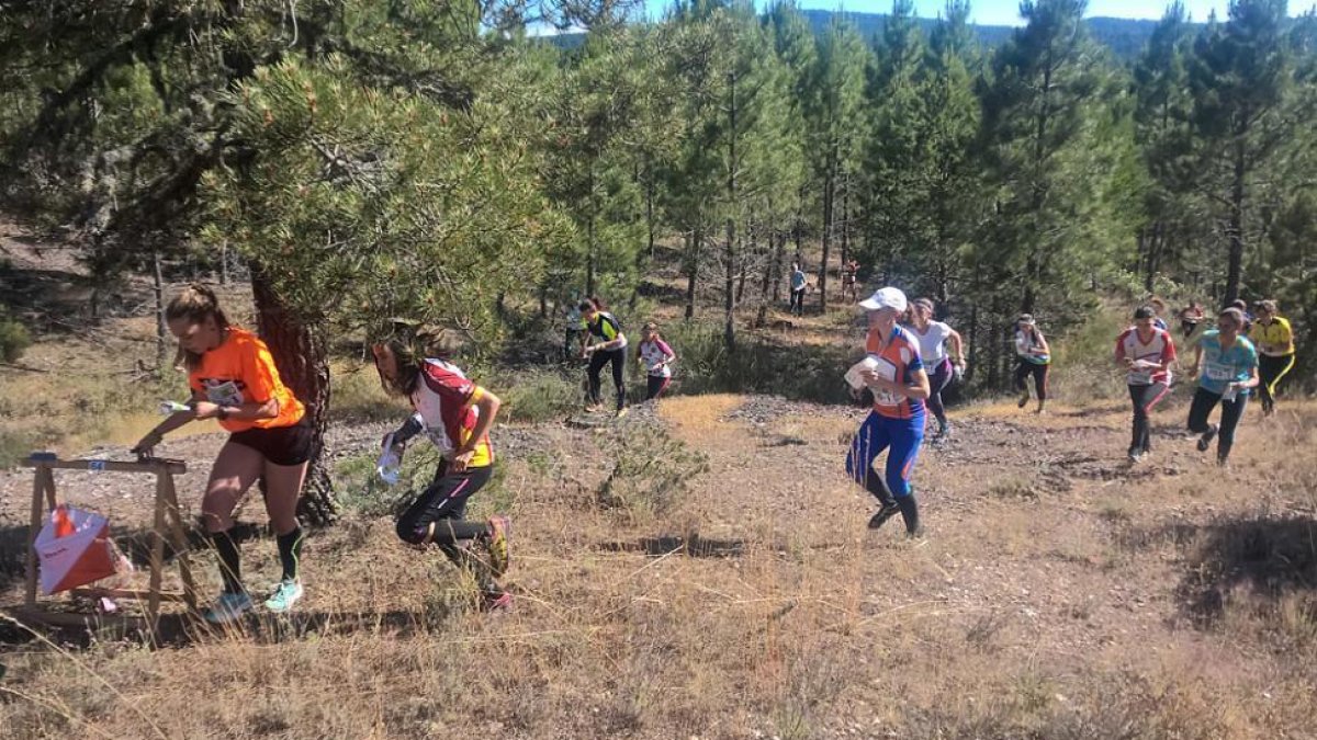 Prueba del campeonato de orientación-CEDIDA
