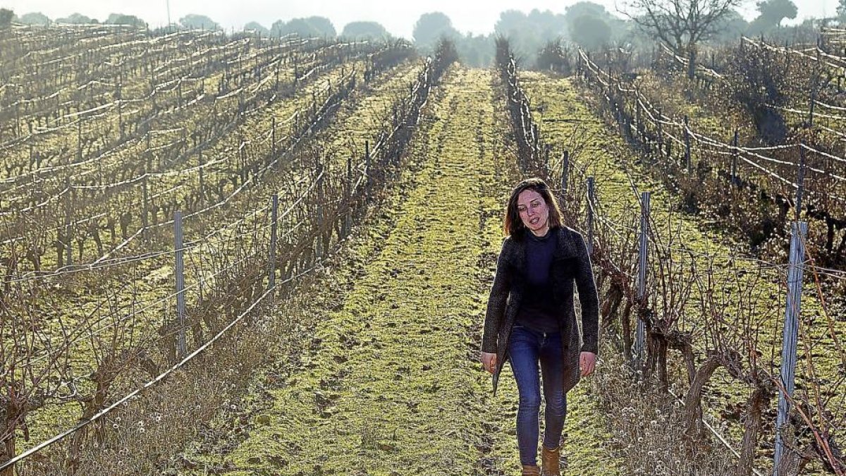 María Alfonso camina entre los líneos de una viña en espaldera.-M.D.