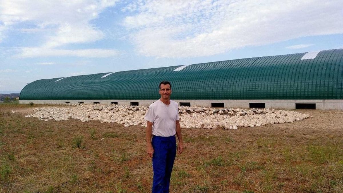 Óscar Caso en la granja de patos de San Esteban de Gormaz.-- HDS